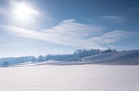 Snow-covered vineyards in the rolling countryside just outside Maastricht by Kim Willems thumbnail