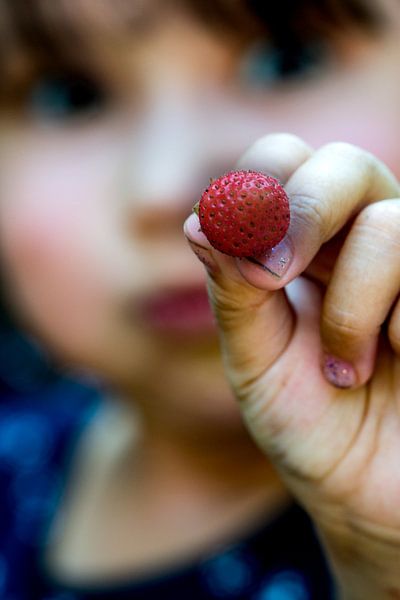 strawberry par Purdelicious Photo Made