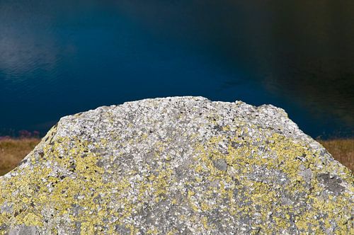 Met mos bedekte steen op een bergmeer