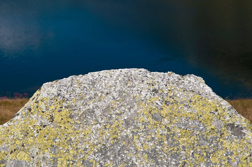 Moosbewachsener Stein an Gebirgssee von Rena Miller
