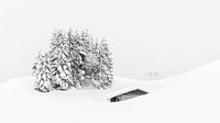 Winterlandschaft in den Bergen von Lynxs Photography Miniaturansicht