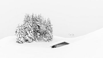 Winterlandschaft in den Bergen von Lynxs Photography