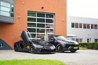 Blacked Out Lamborghini Aventador & Urus by Joost Prins Photograhy thumbnail