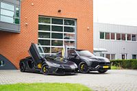 Blacked Out Lamborghini Aventador & Urus