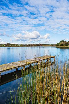 Loopbrug en riet op het Krakauer meer in het dorp Serrahn van Rico Ködder
