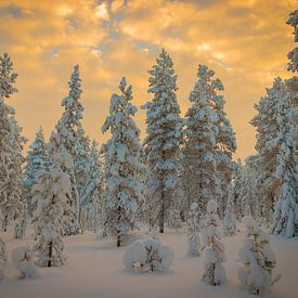 Winter Wonder Dreamland von Bobby Dautzenberg