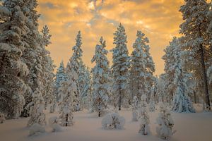 Winter Wonder Dreamland by Bobby Dautzenberg