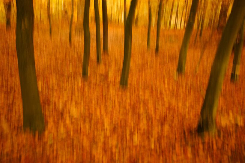 Herfstkleuren in beweging van Alice Berkien-van Mil