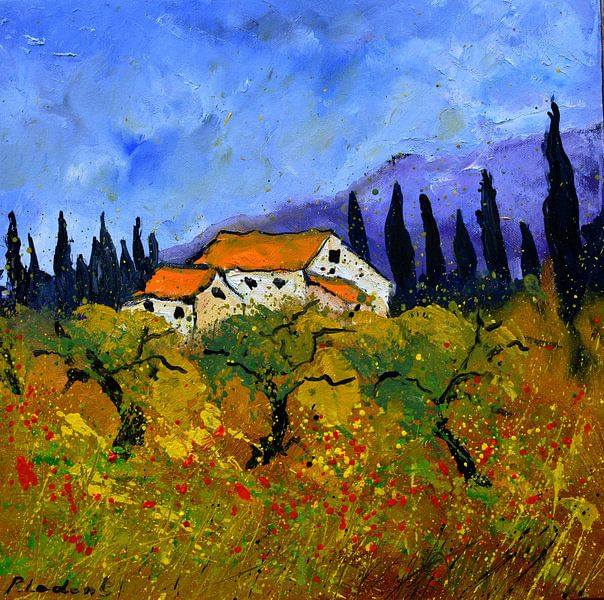 Provence -  4422 par pol ledent