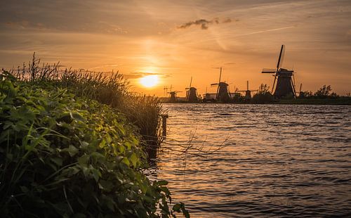 Golden hour Kinderdijk