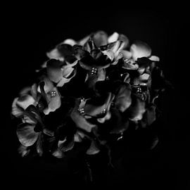 L'essence des fleurs artificielles