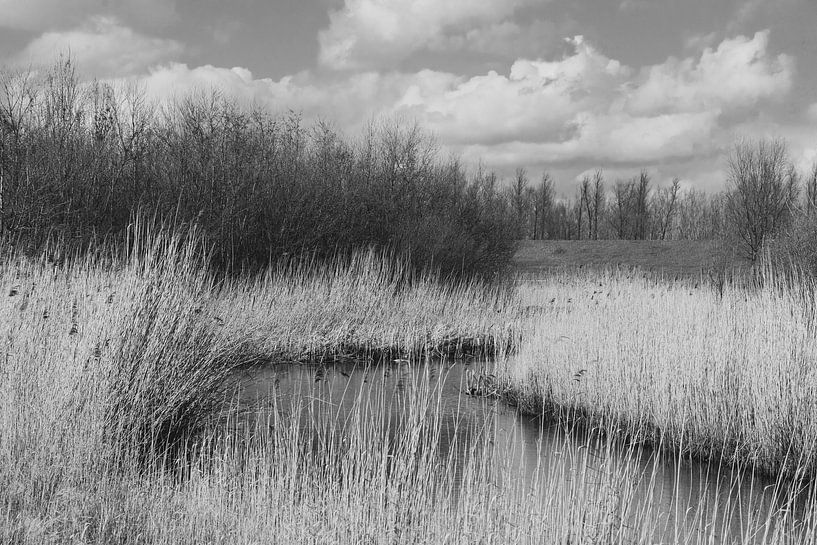 Nature area by Kuifje-fotografie