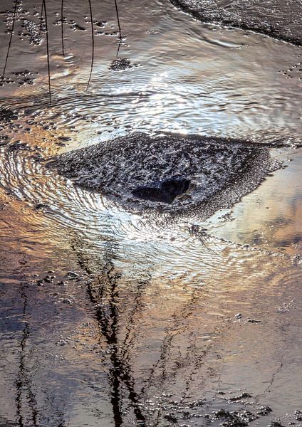 A small heart in the Enns by Christa Kramer