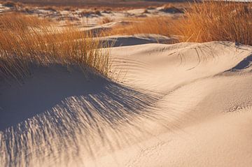 Strand auf der Insel Schiermonnikoog im Wattenmeer von Sjoerd van der Wal Fotografie