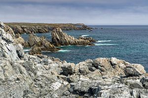 Côte sauvage de Terre-Neuve