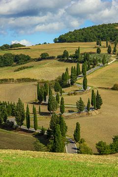 Laan met cipressen in Toscane, Italië van Discover Dutch Nature