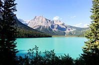 The blue waters of Emerald Lake Canada by Nathan Marcusse thumbnail
