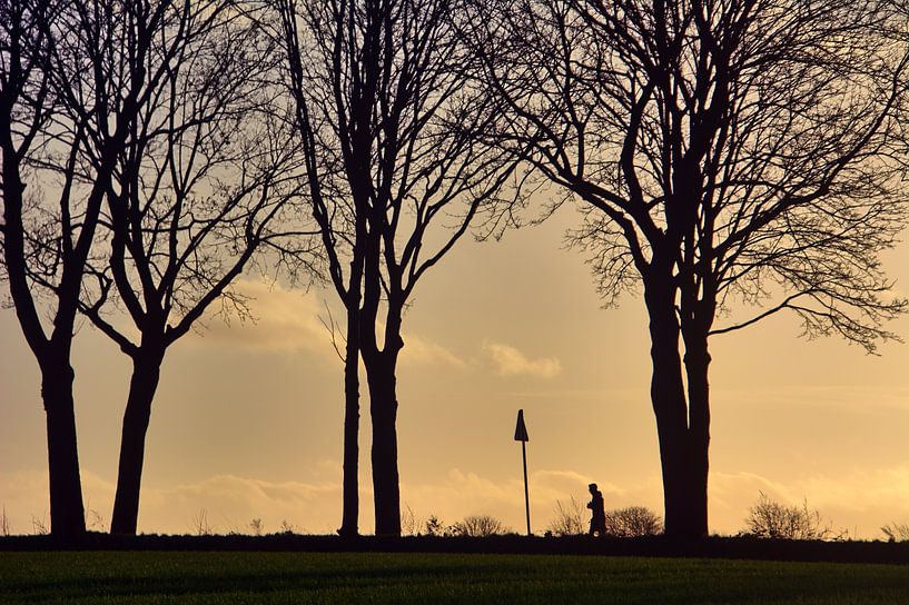 Sunsetwalk van Edgar Schermaul