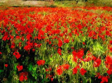 Rode papavervelden in Umbrië van Dorothy Berry-Lound