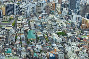 Tokyo Skyline (Japan) by Marcel Kerdijk
