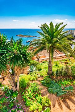 Spanje, uitzicht op de kust in Calvia op het eiland Mallorca van Alex Winter