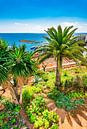 Spanje, uitzicht op de kust in Calvia op het eiland Mallorca van Alex Winter thumbnail