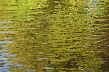 Herfstkleuren in het water
