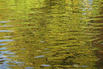 Herfstkleuren in het water van Hanneke Ruijterlinde