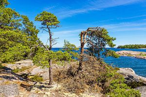 Ostseeküste mit Felsen und Bäumen auf der Insel Sladö in Schw
