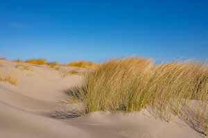 Beach at the island Schiermonnikoog in the Wadden sea by Sjoerd van der Wal Photography