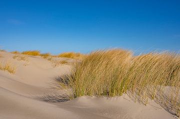 Strand van het eiland Schiermonnikoog in het Waddenzeegebied van Sjoerd van der Wal