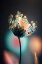 Colorful Glowing Flower by Treechild thumbnail