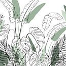 Tropical jungle of Thailand - Montsera palm tropics by Studio Hinte thumbnail