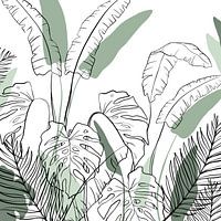Tropical jungle of Thailand - Montsera palm tropics