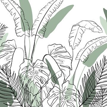 La jungle tropicale de la Thaïlande - Les palmiers tropicaux de Montsera sur Studio Hinte