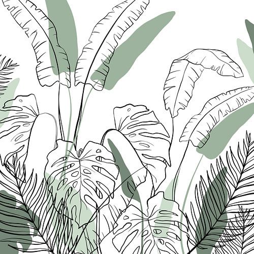 Tropischer Dschungel von Thailand - Montsera Palmen Tropen