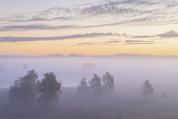 Nebliger Sonnenaufgang Duurswouderheide (Niederlande) von Marcel Kerdijk