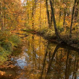 Flowing reflection by Pieter Navis