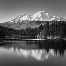 Mount Shasta in Black and White, California by Henk Meijer Photography thumbnail