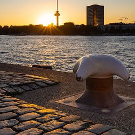 The Euromast of Rotterdam at sunset by Petra Brouwer