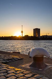 L'Euromast de Rotterdam au coucher du soleil