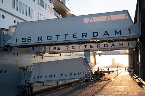 Access SS Rotterdam