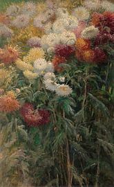 Chrysanthemen im Garten von Petit-Gennevilliers, Gustave Caillebotte