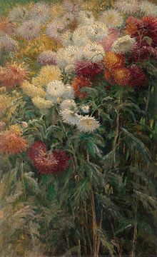 Chrysanthemums in the Garden at Petit-Gennevilliers, Gustave Caillebotte