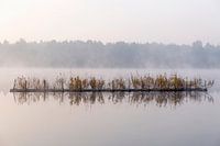 Reflektierendes Wasser