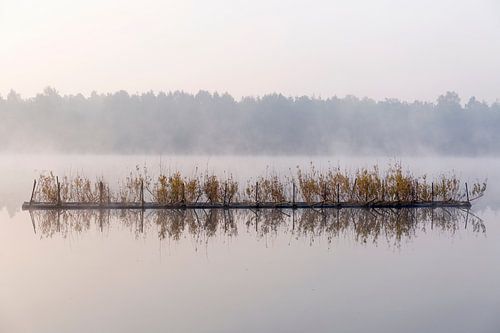 Reflektierendes Wasser