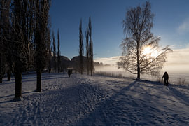 Brume matinale hivernale le long du chemin des peupliers sur Carsten Lenz Photography