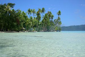 Wading towards the motu