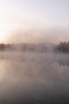 Morning magic by Elke van der Honing