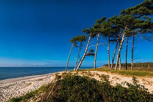 Ostsee - Weststrand auf dem Darß